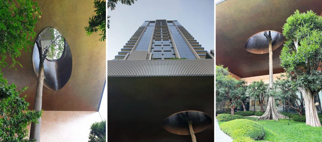 The trunk of a massive Somphong tree emerging through the building's floor structure onto the pool deck at Aman Nai Lert Bangkok